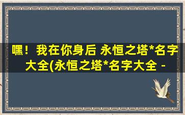 嘿！我在你身后 永恒之塔*名字大全(永恒之塔*名字大全 - 最全面的*名录)